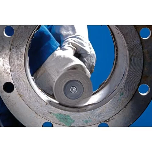 Brosse plate sur tige Pferd RBU inox 4 Brosse plate sur tige Pferd RBU inox – Image 4